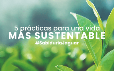 5 prácticas para una vida más sustentable en casa