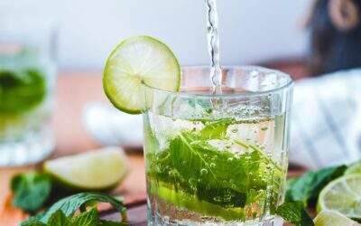 Mojitos DFN