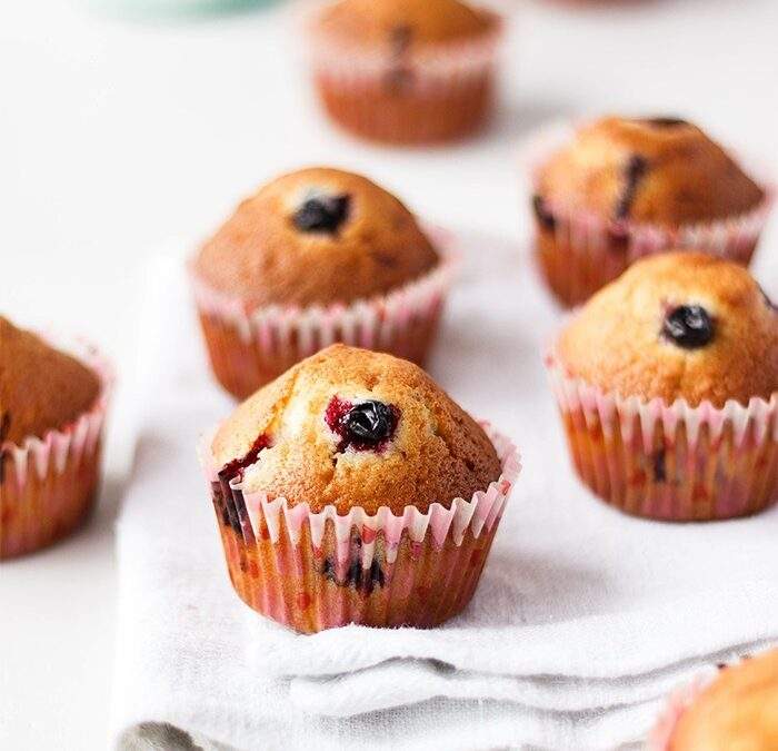 Muffins SMARTi de arándano