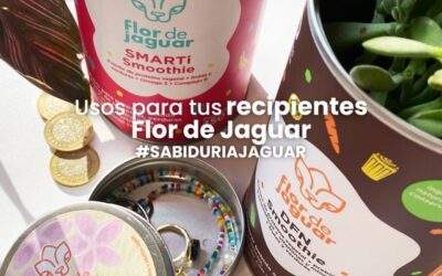 Usos para tus recipientes Flor de Jaguar