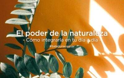 El poder de la naturaleza: Cómo integrarla en tu día a día